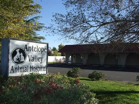 animal medical center of the antelope valley reviews|24 hour vet antelope valley.